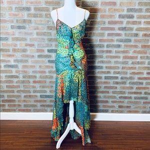 Beautiful and Unique BCBG Peacock Inspired Dress